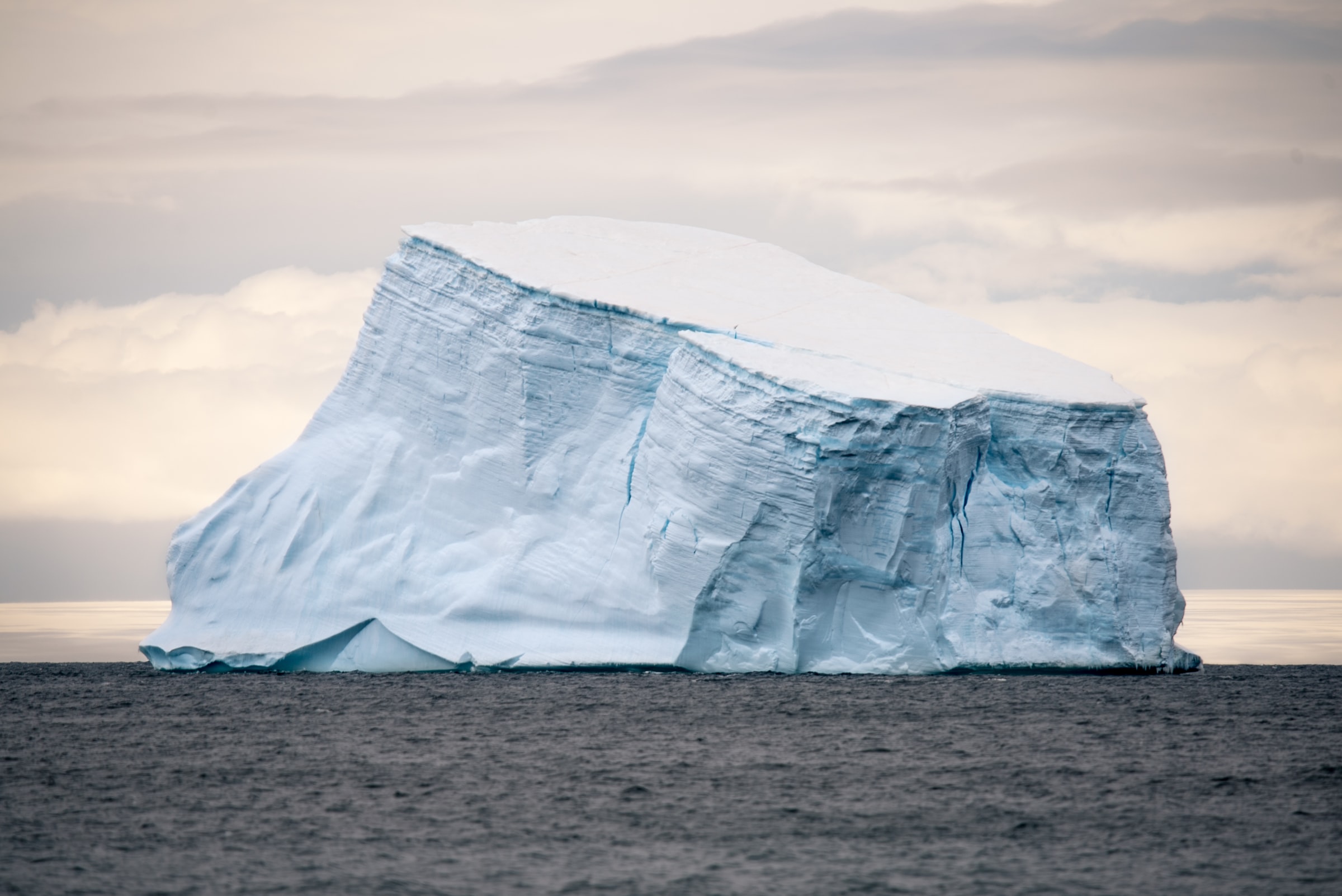 Distributor oversight: the hidden part of the iceberg